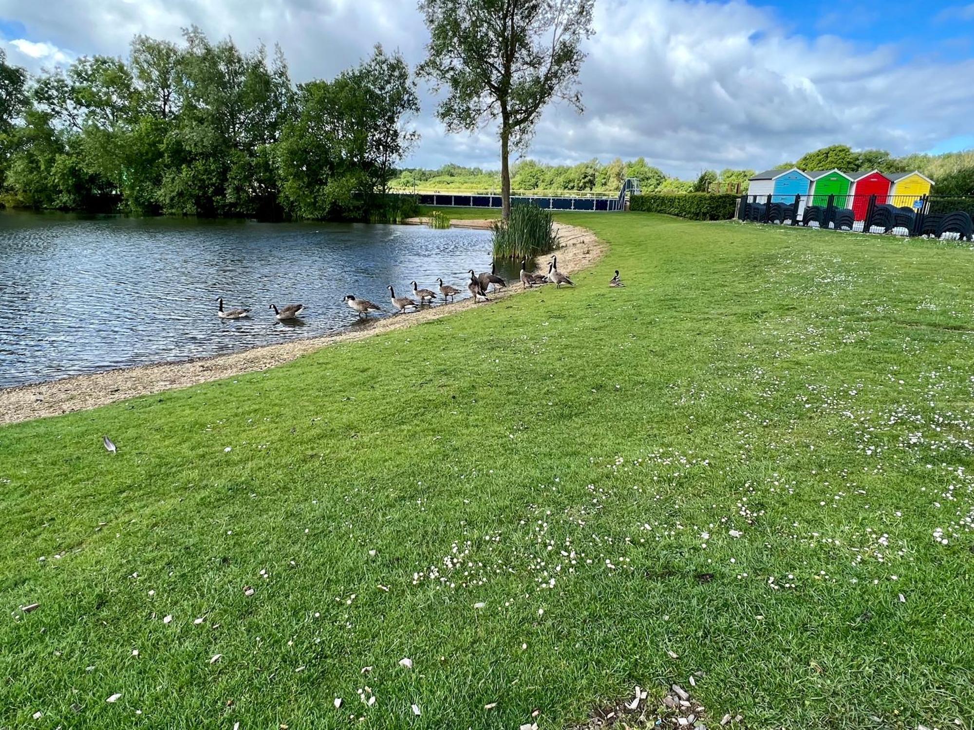 Reeds View Holiday Lodge South Cerney Exteriör bild